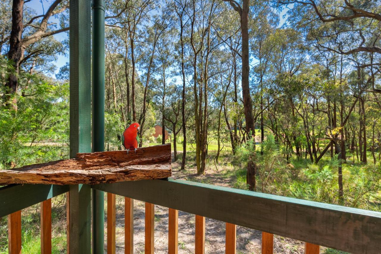 Cockatoo Cottages Екстер'єр фото